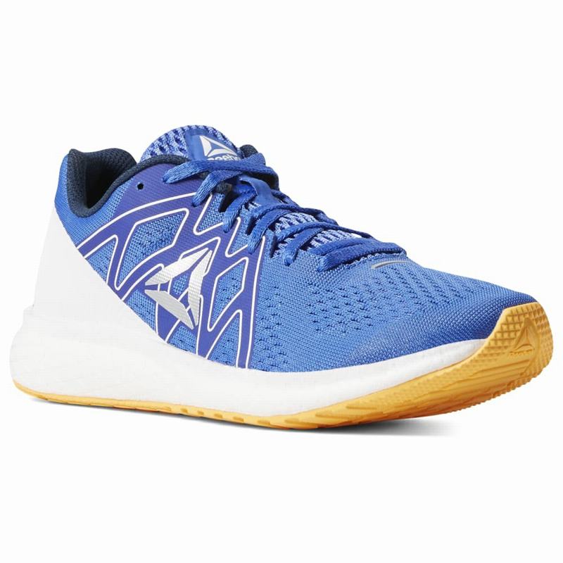 Adidasi Alergare Reebok Forever Floatride Energy Barbati Albastri/Albi Romania ZF2183CT